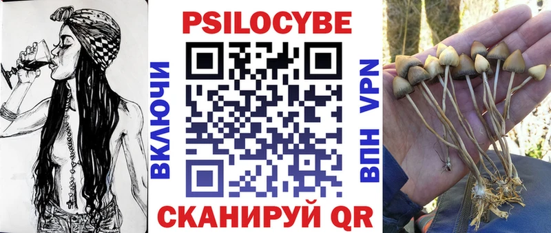 kraken как войти  Змеиногорск  Галлюциногенные грибы прущие грибы 